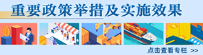 重要政策举措及实施效果